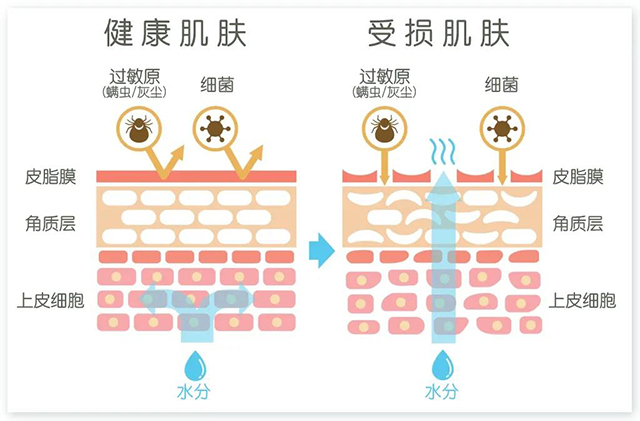 微信图片_20210617155346.jpg